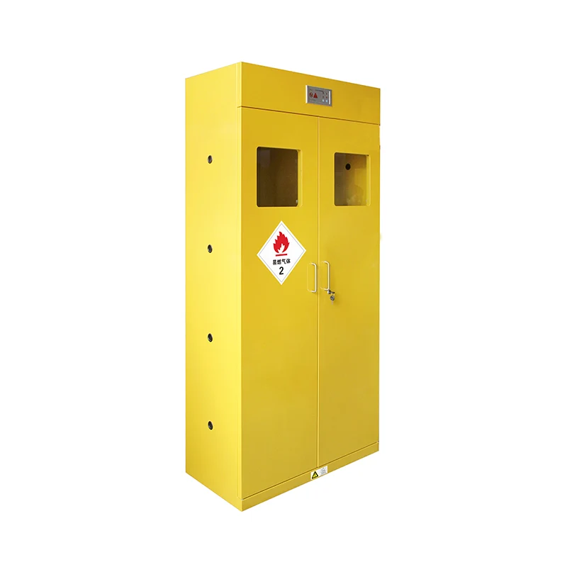 Double - Bottle Explosion Proof Gas Cylinder Storage Cabinet